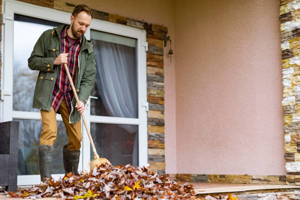 Best Junk Hauling Services  in Chester, WV